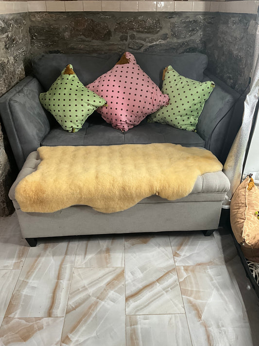 Accent Pillows