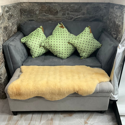 Accent Pillows